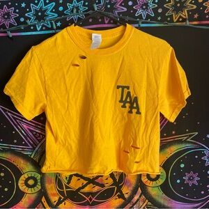 The Amity Affliction cropped t shirt